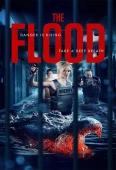 Pochette du film Flood, the