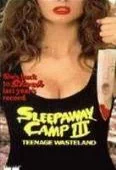 Pochette du film Sleepaway Camp 3