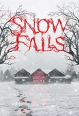 Pochette du film Snow Falls