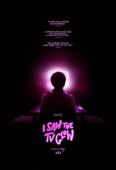Pochette du film I Saw the TV Glow