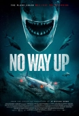 Pochette du film No Way Up