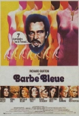 Pochette du film Barbe-Bleue