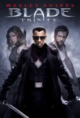 Pochette du film Blade 3 : Trinity