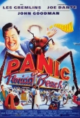Pochette du film Panique sur Florida Beach