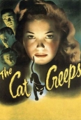 Pochette du film Cat Creeps, the