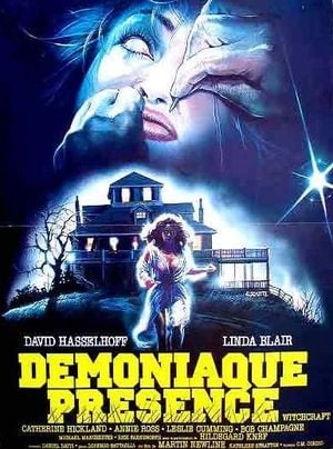 Pochette du film Démoniaque Présence