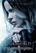 Pochette du film Underworld : Blood Enemy