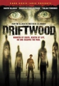 Pochette du film Driftwood